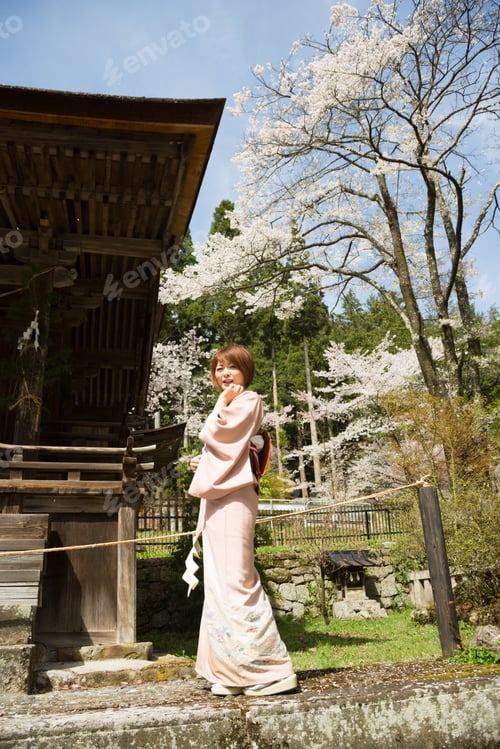 Preview: Woman And Cherry Blossoms Of The Japanese Kimono