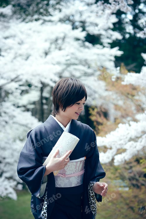 Preview: Cherry Blossom Season Female Material Of Beautiful Women In Full Bloom Of Kimono