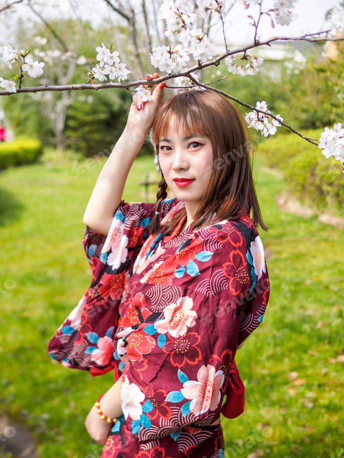Preview: Attractive Asian Woman Wearing Kimono In Cherry Blossom Forest In Spring.