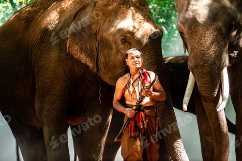Preview: Life Of People And Elephants In Thailand.