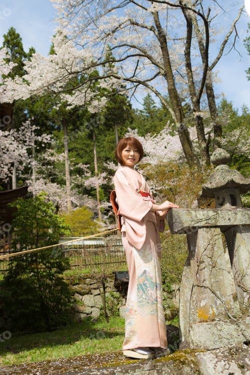 Preview: Woman And Cherry Blossoms Of The Japanese Kimono