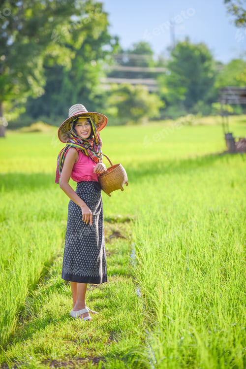 Preview: Asian Farmers In Green Rice Fields.