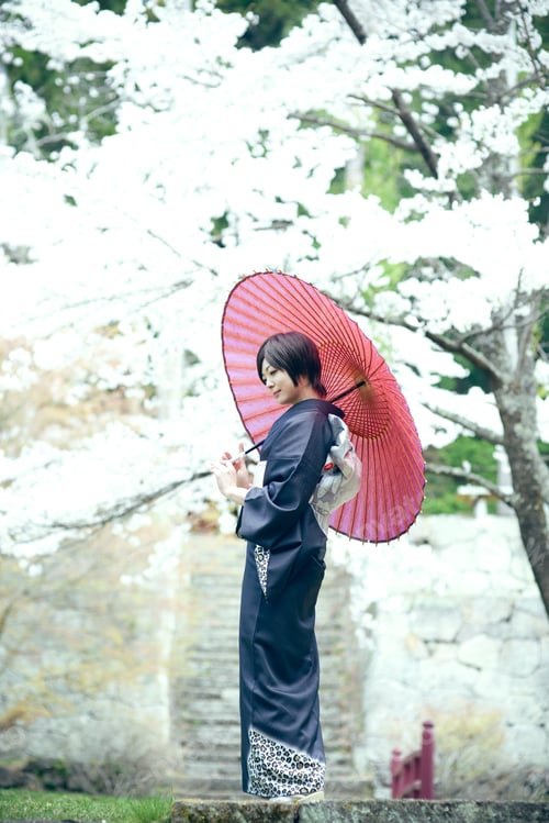 Preview: Cherry Blossom Season Female Material Of Beautiful Women In Full Bloom Of Kimono