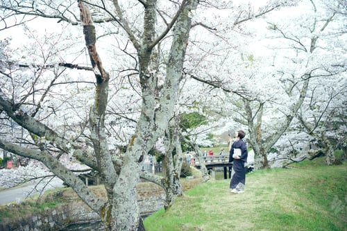 Preview: Kimono Woman