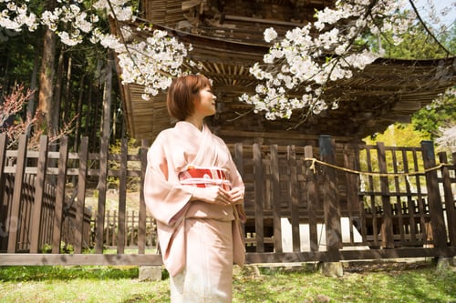 Preview: Woman And Cherry Blossoms Of The Japanese Kimono