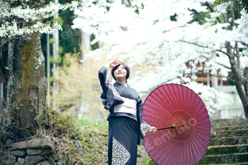 Preview: Kimono Woman