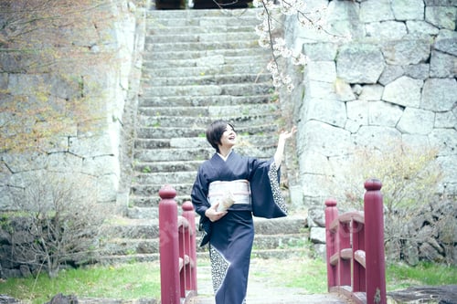 Preview: Cherry Blossom Season Female Material Of Beautiful Women In Full Bloom Of Kimono