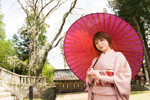 Preview: Woman And Cherry Blossoms Of The Japanese Kimono