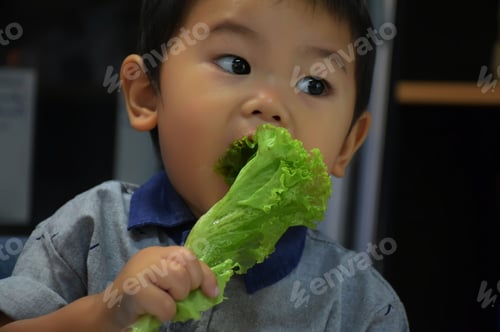 Preview: Little Boy Is Happy Eating Vegetable.