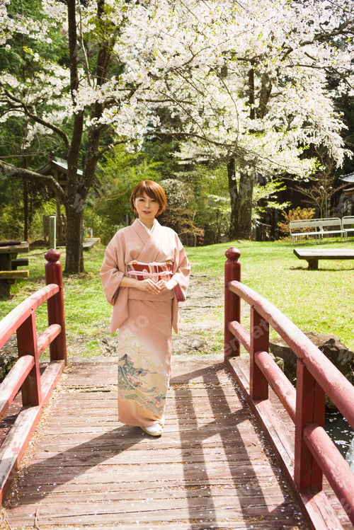 Preview: Woman And Cherry Blossoms Of The Japanese Kimono