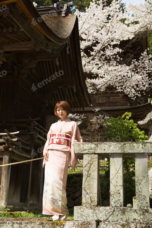 Preview: Woman And Cherry Blossoms Of The Japanese Kimono