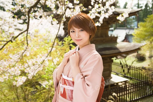 Preview: Woman And Cherry Blossoms Of The Japanese Kimono