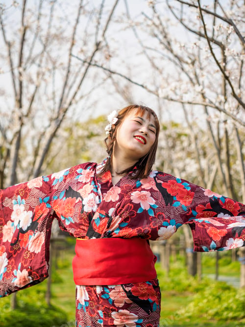 Preview: Attractive Asian Woman Wearing Kimono In Cherry Blossom Forest In Spring.