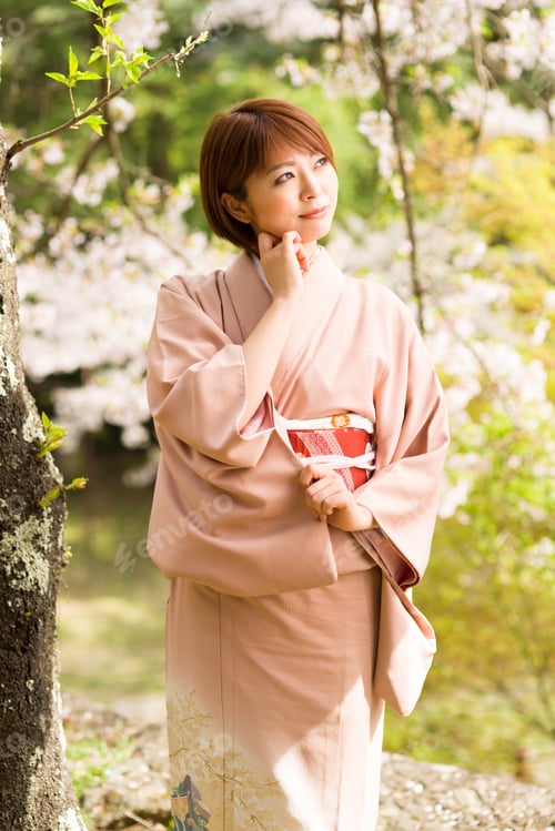 Preview: Woman And Cherry Blossoms Of The Japanese Kimono