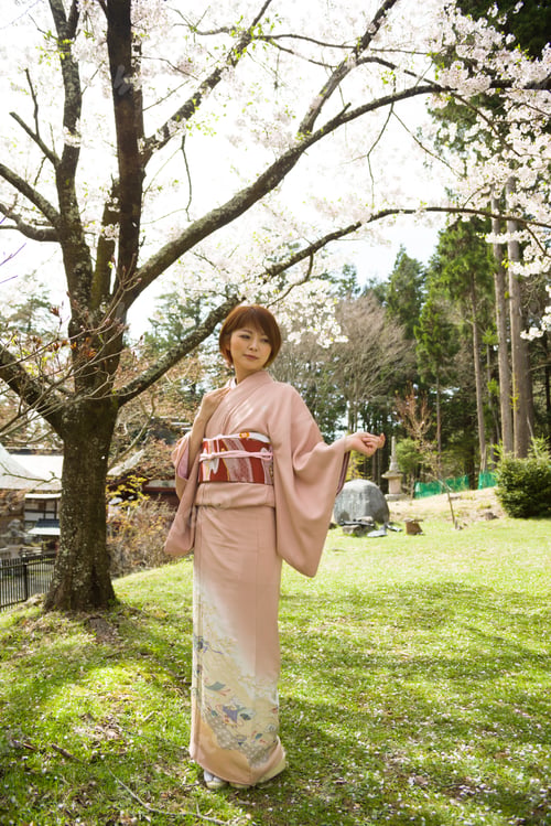 Preview: Woman And Cherry Blossoms Of The Japanese Kimono