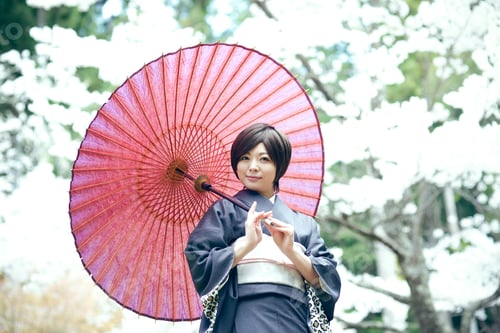 Preview: Cherry Blossom Season Female Material Of Beautiful Women In Full Bloom Of Kimono