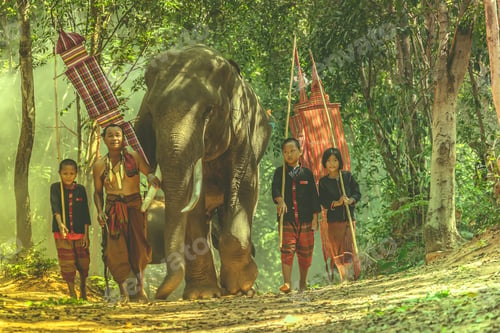 Preview: Life Of People And Elephants In Thailand.