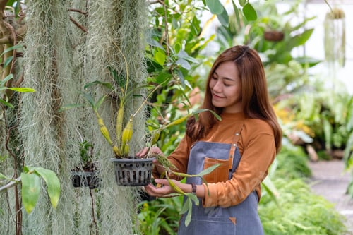 Preview: A Young Asian Female Gardener Taking Care Of Plants In The Garden