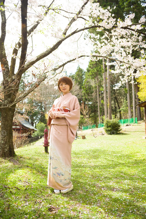 Preview: Woman And Cherry Blossoms Of The Japanese Kimono