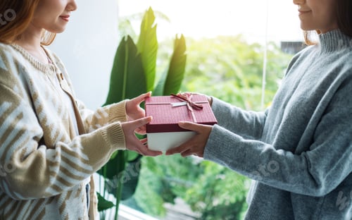 Vista previa: Closeup Image Of A Young Women Giving Friend A Gift Box
