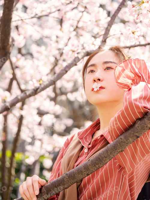 Preview: Outdoor Portrait Of Beautiful Young Chinese Girl In Red Shirt Smiling Among Blossom Cherry Tree