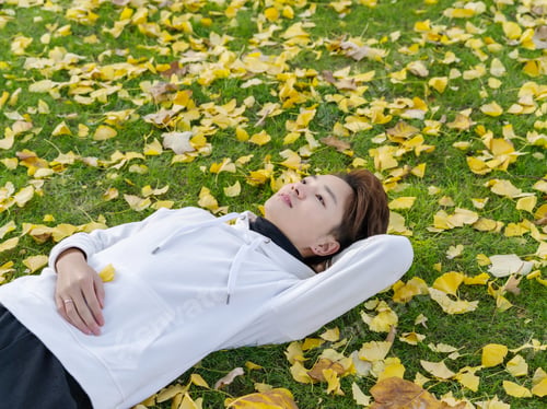 Preview: Young Chinese Smiling Man Portrait Laying In Foliage In Autumn Park. Outdoor.