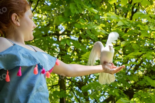 Preview: Young Red Haired Girl With White Dove In Shade Of Large Trees At A Bird Sanctuary In Katikati, New
