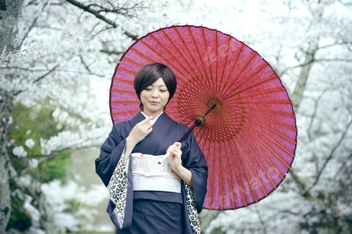 Preview: Kimono Woman