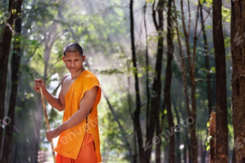 Preview: Buddhist Monk Working With Broom Sweeps Lawn From Fallen Leaves At Wat