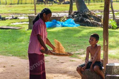 Preview: Asian Woman With Kid In The Field Countryside Of Thailand,Lifestyle Of Asian Women In The