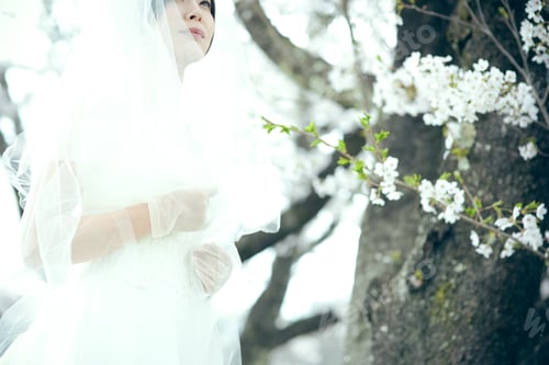 Preview: Bride Image Wedding Wedding Dress