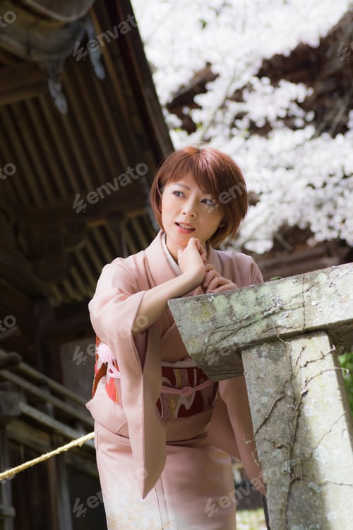 Preview: Woman And Cherry Blossoms Of The Japanese Kimono