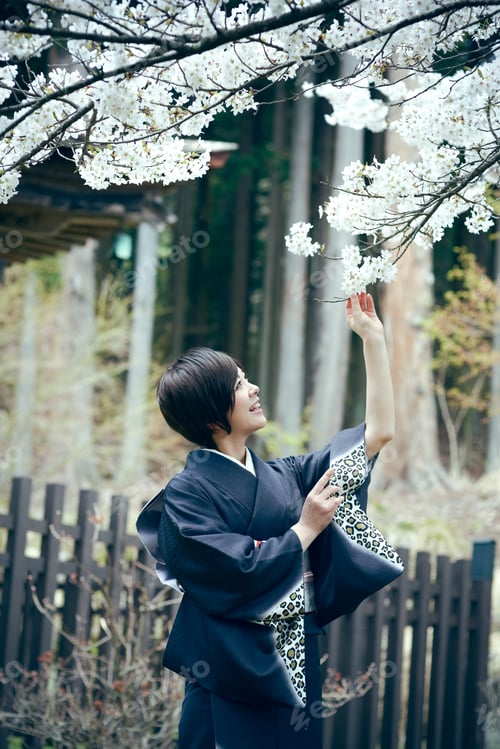 Preview: Kimono Woman