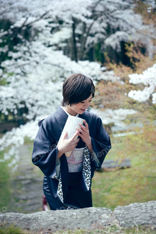 Preview: Cherry Blossom Season Female Material Of Beautiful Women In Full Bloom Of Kimono