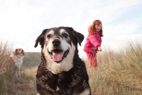 Preview: Little Girl In Shocking Pink Winter Clothing Walking Her Dogs