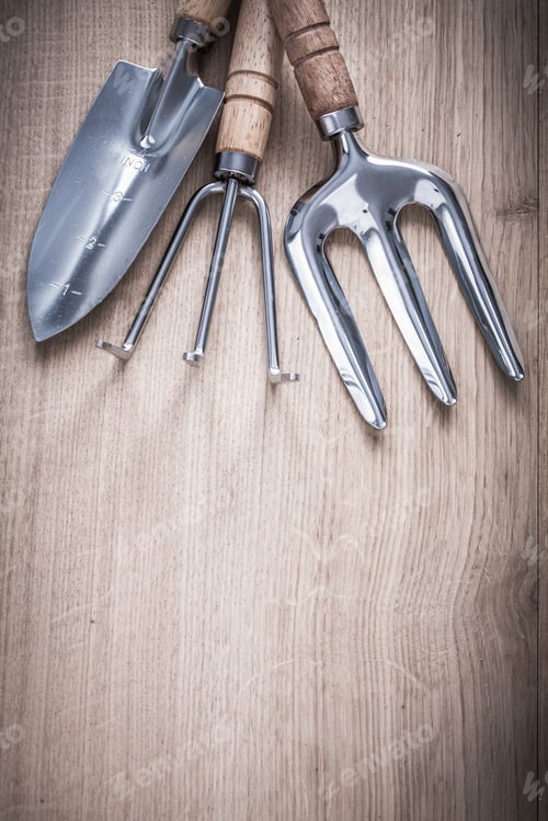 Preview: Set Of Stainless Gardening Trowel Fork Hand Spade And Rake On Wood Board Agriculture Concept.