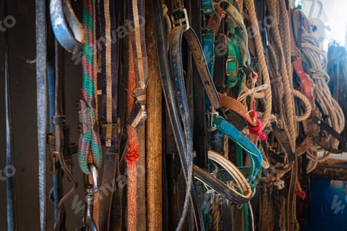 Preview: Detail Of Aged Old Group Of Horse Reins Hanging