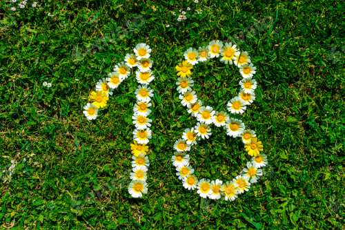 Visualização: Feliz aniversário número dezoito.