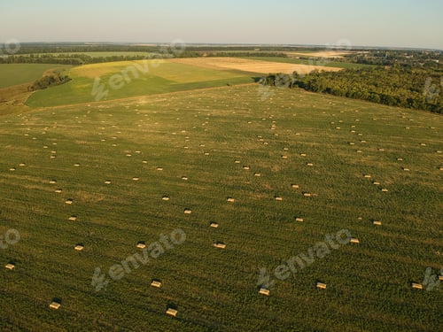Preview: Aerial View To Stacked Hay On The Wheat Field Under Sky. Ambrosia Field. Drone Photography.