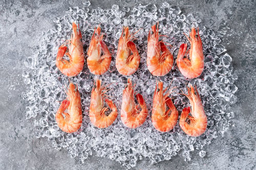 Preview: Frozen Extra Large Tiger Prawns Served On Ice. Top View