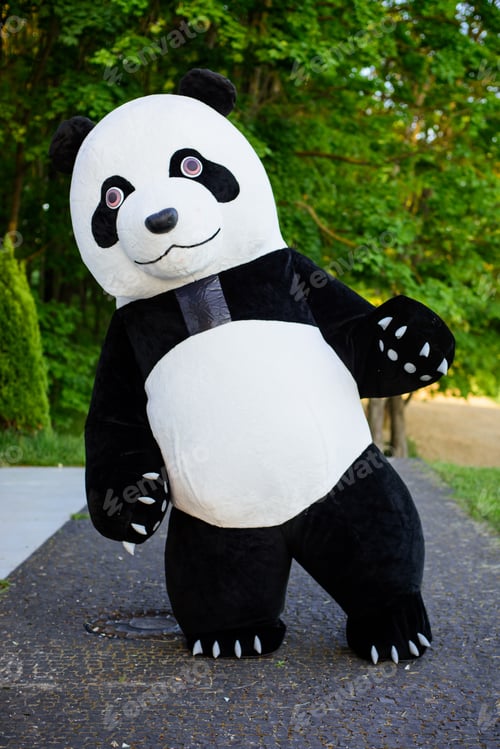 Preview: Man In Panda Costume