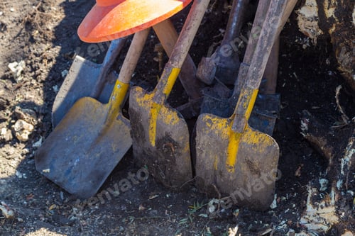 Preview: Background With Shovels And Tree Stump. Manual Uprooting Of A Tree.