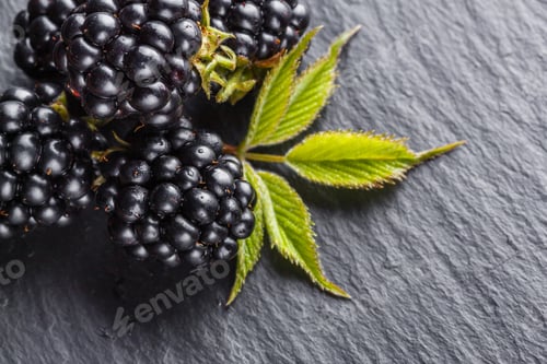Preview: Juicy Fresh Blackberries On Dark Stone Background
