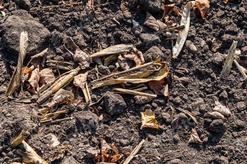Preview: Cultivated Soil On Field Macro Background