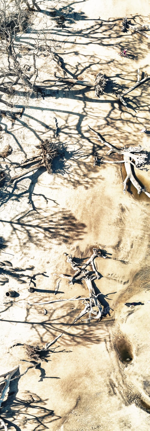 Preview: Panoramic Aerial View Of Jekyll Island And Driftwood Beach, Georgia.
