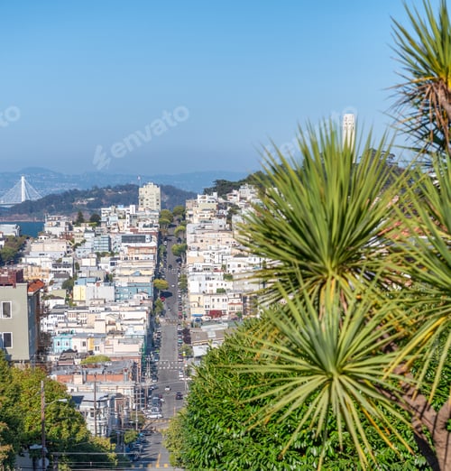 Preview: Lombard Street And Russian Hill With San Francisco City Skyline On A Sunny Summer Day.