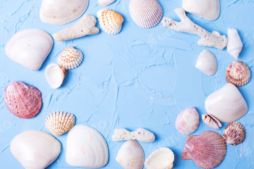 Preview: Frame From Marine Decorations On Blue Textured Background. Sea Objects. Top View. Place For Text.