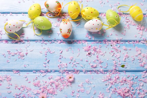 Preview: Colorful Easter Eggs And Petals Of Pink Flowers On Blue Painted Wooden Background. Easter