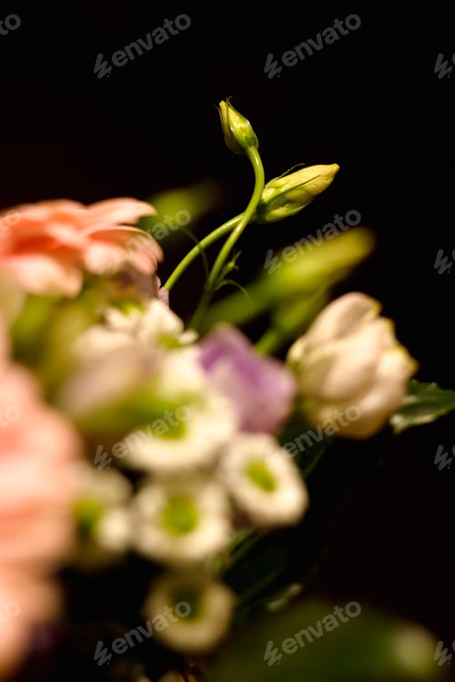 Preview: Flower Puget, Pink Gerberas, Blue Roses, Daisies On Abstract Dark Background