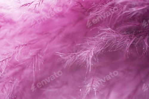 Preview: Purple Feather Abstract Background. Macro Shoot.